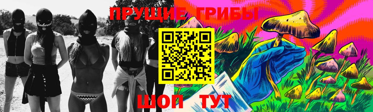 Карпинск  продажа наркотиков  Вход с VPN  Псилоцибиновые грибы GOLDEN TEACHER  Псилоцибиновые грибы GOLDEN TEACHER 