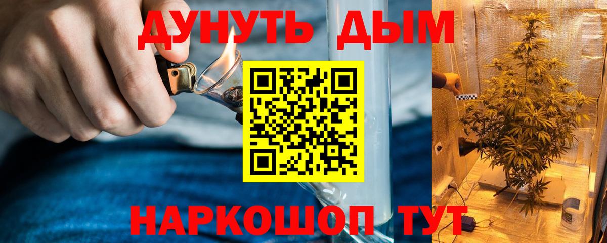 Конопля сатива Карпинск